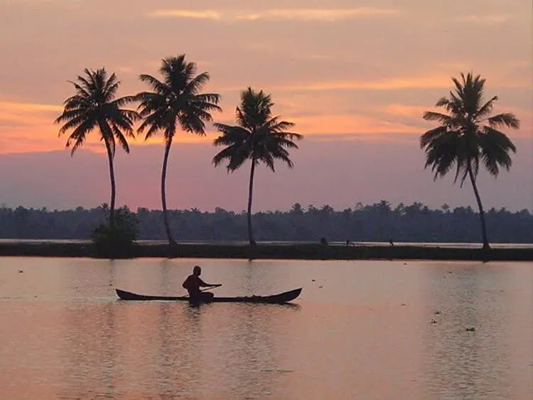 Yoga House "Rejuvenation Retreat" (India)